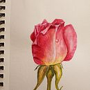 Watercolor projects. Fine Arts project by Laurel Webb - 02.04.2022