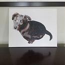 my dog tessa . Pictură acrilică de Leah Brown - 02.05.2022