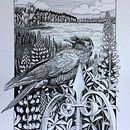 My project in Dip Pen and Ink Illustration: Capturing The Natural World course . Membuat sketsa, Menggambar, Menggambar Artistik, Buku sketsa, Ilustrasi Tinta & Ilustrasi Naturalistik proyek oleh Jennifer McConnell - 02.02.2022