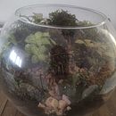 espacio de vida  Ein Projekt aus dem Bereich Innendesign, L, schaftsbau, Dekoration von Innenräumen, DIY und Blumen- und Pflanzendesign von mary eugenia rivas Torrealba - 05.02.2022