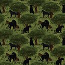 Mi Proyecto del curso: Ilustración digital de patrones inspirados en la naturaleza. Un proyecto de Ilustración tradicional, Pattern Design, Dibujo, Ilustración digital e Ilustración botánica de Francisco Javier Zea Lara - 05.02.2022