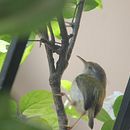 My project in Introduction to Digital Photography in Manual Mode course Ein Projekt aus dem Bereich Fotografie, Digitalfotografie und Fotografische Komposition von Sanika Gaonkar - 03.02.2022