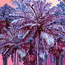 Fronda. Een project van Multimedia, Motion Graphics, Traditionele illustratie y 2D-animatie van laura_suasia - 06.02.2022