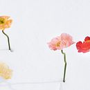 Florets. Een project van Fotografie y  Ontwerp van Natalie Pigliacampo - 06.02.2022