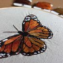 El aleteo de una mariposa Ein Projekt aus dem Bereich Traditionelle Illustration, Stickerei und Textildesign von Maria Blázquez Fernández - 07.02.2022