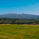 DRON MAVIC AIR 2 - FILM TEST CINEMATIC without the sd card. Un progetto di Cinema, video e TV, Cinema, Produzione audiovisiva e Fotografia di Francisco Paz - 07.02.2022