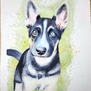 Dog Portrait and first background experiment  . Pictură în acuarelă și Arte plastice de claudia_ms_1 - 02.04.2022