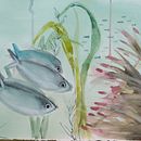 Mi Proyecto del curso: Ilustración de universos marinos en acuarela. Ilustração tradicional, Pintura, Pintura em aquarela e Ilustração naturalista projeto de Luli Oliva - 09.02.2022