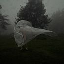 Epifanía. Photograph, Fine Arts, Mobile Photograph, Portrait Photograph, and Concept Art project by Jesús Cortiñas Andrade - 02.10.2022