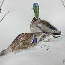 "Amoureux D'hiver ". Un proyecto de Pintura a la acuarela, Ilustración tradicional, Dibujo realista e Ilustración naturalista				 de Marie-Couleurs - 10.02.2022