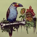 Meu projeto do curso: Ilustração naturalista à caneta. Un proyecto de Ilustración tradicional, Dibujo, Dibujo realista e Ilustración naturalista				 de Alan Costa - 11.02.2022