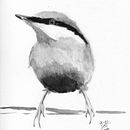 Oiseau Aquarelle. Un proyecto de Ilustración tradicional de Jeff CAP - 11.02.2022
