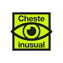 Naming, Diseño y ilustración para el Ayuntamiento de Cheste en motivo del Festival de Arte "Cheste Inusual". Un proyecto de Diseño, Ilustración tradicional, Dirección de arte, Br, ing e Identidad, Diseño gráfico y Diseño de carteles de jordi ferrandiz - 12.02.2022