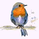 Mein Kursprojekt: Illustriere Vögel mit expressiven Aquarelltechniken. Un proyecto de Ilustración tradicional, Pintura a la acuarela, Dibujo realista e Ilustración naturalista				 de obliee - 10.02.2022