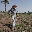 Assentamento São Pedro. Un proyecto de Fotografía, Fotografía con móviles, Fotografía digital, Fotografía documental y Fotografía de retrato de Cris Burmester - 15.02.2022