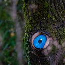 Eye contact. Painting, L, and scape Architecture project by Louise Lacour - 02.16.2022