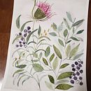 My Garden. Projekt z dziedziny Trad, c, jna ilustracja,  Malarstwo, Malowanie akwarelą, R, sunek botaniczn, Kreat i wność użytkownika Judith Umlauf - 17.02.2022