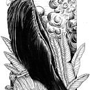 My project in Dip Pen and Ink Illustration: Capturing The Natural World course. Esboçado, Desenho, Desenho artístico, Sketchbook, Ilustração com tinta e Ilustração naturalista projeto de Po So - 17.02.2022
