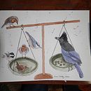 My project in Artistic Watercolor Techniques for Illustrating Birds course. Een project van Traditionele illustratie, Aquarelschilderen, Realistische tekening y Naturalistische illustratie van Lisa Dailey - 16.02.2022