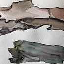 Color y Naturaleza. Un projet de Illustration traditionnelle, Beaux Arts, Théorie des couleurs, Aquarelle et Illustration botanique de Maria del Lluc Bevià Jiménez - 19.02.2022