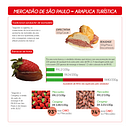 Visualização gráfica: Mercadão de SP, arapuca turística/Paula Maria Prado 2022. Design Management, Graphic Design, Information Design, Marketing, Infographics, Communication, and Presentation Design project by paulamariaprado - 02.19.2022