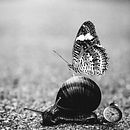 Mi Proyecto del curso: Fotomontaje surrealista con Photoshop. Publicidade, Pós-produção fotográfica, Retoque fotográfico, Fotografia digital, Composição fotográfica, e Fotomontagem projeto de Juan Andres Araya Contreras - 21.02.2022