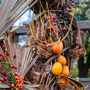 A perfect day in Buharest botanical garden . Fotografie, Fotografie în aer liber și Fotografii de stil de viață de Stoyan Lechev - 02.22.2022