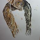 Spotted Eagle Owl in flight.. Een project van Schilderij van Charl van Staden - 24.02.2022