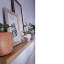 Mi Proyecto del curso: Decoración expresiva con plantas de interior. Un proyecto de Diseño de interiores, Paisajismo, Decoración de interiores, Interiorismo, DIY, Diseño floral, vegetal y Diseño de espacios de Viviana - 25.02.2022