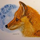 Zorro y Luna. Un projet de Peinture de isesch - 27.02.2022