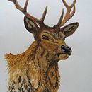 Venado Macho. Un projet de Peinture de isesch - 26.12.2021