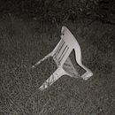 Telepathy. Photograph project by ettore maragoni - 01.01.2022