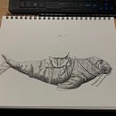 Penguin riding a walrus. Traditional illustration, Pencil Drawing, Drawing, Realistic Drawing, Artistic Drawing & Ink Illustration project by Christian - 02.28.2022