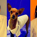 SUPERPII Soy un agente, soy un héroe nacional. Ein Projekt aus dem Bereich Kino, Video und TV, Schrift, TV, Audiovisuelle Produktion, Skript, Erzählung, Literarisches schreiben und Kreatives Schreiben von Diana Di Rendón - 20.02.2022