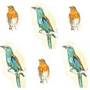 Mi Proyecto del curso: Diseño de estampados textiles. Pequeñas Aves. Ilustração tradicional, Design de acessórios, Design de vestuário, Pattern Design, Design de moda, Estampagem, e Estamparia têxtil projeto de Virginia Castillo Muñoz - 02.03.2022