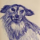 Daily sketches with pen. Projekt z dziedziny Trad, c i jna ilustracja użytkownika Maaike - 02.03.2022