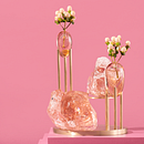 METAMORFOSI. Un proyecto de Diseño de Sara Ricciardi - 02.03.2022