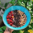CACAO MAE . Un projet de Réseaux sociaux, St, lisme culinaire, Stratégie de marque, Photographie, Marketing digital , et Photographie smartphone de Mariaelsy Abreu - 03.03.2022