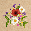 Illustrations - Natural Products. Een project van Traditionele illustratie, Digitale illustratie,  Botanische illustratie y Productontwerp van Maya R - 03.03.2022