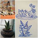 Il mio progetto del corso:  Sketchbook botanico: un approccio meditativo. Projekt z dziedziny Trad, c, jna ilustracja, Sketching,  R, sunek, Malowanie akwarelą, R, sunek botaniczn i Sketchbook użytkownika Shona Secor - 04.03.2022