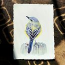 My project in Artistic Watercolor Techniques for Illustrating Birds course. Traditional illustration, Watercolor Painting, Realistic Drawing, and Naturalistic Illustration project by Jade - 03.04.2022