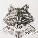 Just a raccoon ! Ein Projekt aus dem Bereich Traditionelle Illustration von lepinink - 05.03.2022