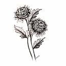 Chrysanthemum Ein Projekt aus dem Bereich Traditionelle Illustration von lepinink - 05.03.2022