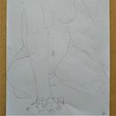 Desenho da figura humana. Un projet de Dessin, Dessin de portrait , et Dessin réaliste de Aline Basso - 05.03.2022