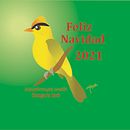 Nueva especie de tangara para Perú y Bolivia: Heliothraupis oneilli. Un proyecto de Ilustración tradicional de Maura Jurado Zevallos - 05.03.2022