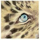 Corso: Ritratti espressivi di animali ad acquerello Ein Projekt aus dem Bereich Traditionelle Illustration, Aquarellmalerei, Malerei und Naturalistische Illustration von Selene Nardelli - 06.03.2022