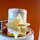 Mi Proyecto del curso: Decoración floral para Cake Design . Un progetto di Design e DIY di Nelsa Dijkhuizen - 06.03.2022