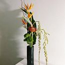 Savia Bruta project Ein Projekt aus dem Bereich Innendesign, L, schaftsbau, Dekoration von Innenräumen, DIY und Blumen- und Pflanzendesign von Sara - 08.03.2022