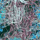 Cover illustration of the poetry collection of Xavier Schmidt. Een project van Fotografie, Traditionele illustratie y Schrijven van Elise Vincent - 08.03.2022