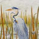 My project for course: Illustrating Nature: A Creative Exploration. Traditional illustration, Painting, Drawing, Watercolor Painting, Ink Illustration, and Naturalistic Illustration project by bethrobson - 03.09.2022